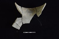 陶罐藏品圖，第2張